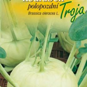 Kedluben polopozdní Troja F1 (semena) / 19296195