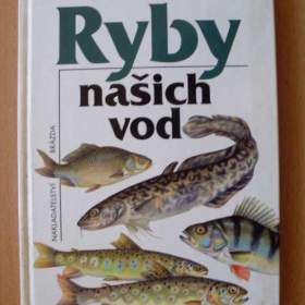 František Reiser Ryby našich vod / 19310011