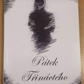 PÁTEK TŘINÁCTÉHO -  autorka má Dcera Karin Dobrozemská 14- 15 let. 317 stran. / 19311395