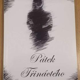 PÁTEK TŘINÁCTÉHO - autorka má Dcera Karin Dobrozemská 14- 15 let. 317 stran. / 19311395