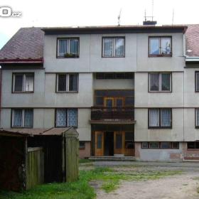 Pronajmu byt 1+1 v Borohrádku / 19314520