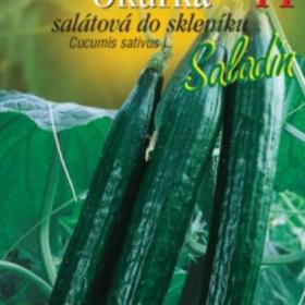 Okurka salátová do skleníku Saladin F1 (semena) levna- semena. cz / 19330061