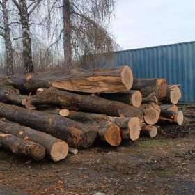 Foto inzerátu Palivové dřevo