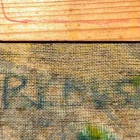 Foto inzerátu POZOROVATEL - JARKOVSKÝ JIŘÍ