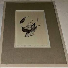 Foto inzerátu POSELSTVÍ ŽIVOTA - VELEBOVÁ LAZNÍČKOVÁ JAROSLAVA