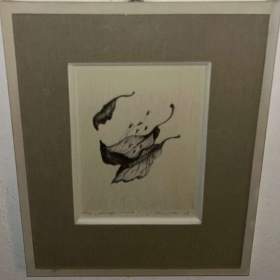 Foto inzerátu POSELSTVÍ ŽIVOTA - VELEBOVÁ LAZNÍČKOVÁ JAROSLAVA