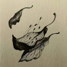 Foto inzerátu POSELSTVÍ ŽIVOTA - VELEBOVÁ LAZNÍČKOVÁ JAROSLAVA