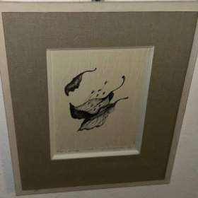 Foto inzerátu POSELSTVÍ ŽIVOTA - VELEBOVÁ LAZNÍČKOVÁ JAROSLAVA