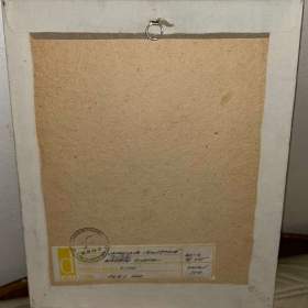 Foto inzerátu POSELSTVÍ ŽIVOTA - VELEBOVÁ LAZNÍČKOVÁ JAROSLAVA