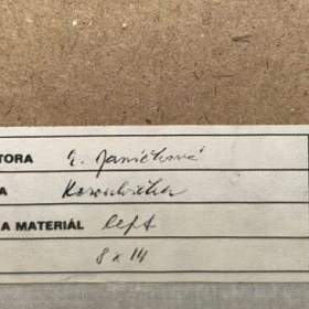 Foto inzerátu KOROUHVIČKA - JANOUCHOVÁ JANÍČKOVÁ EVA