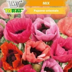 Mák východní (semena) / 19335987