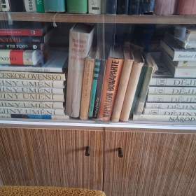 Fotka k inzerátu Dějiny umění / 9883070