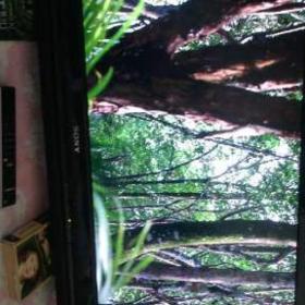 Foto inzerátu Sony KDL 32V 4220