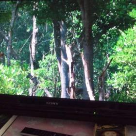 Foto inzerátu Sony KDL 32V 4220