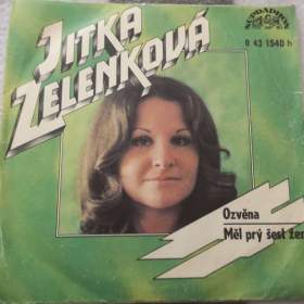 Foto inzerátu SP - Zagorová &amp; Rezek, Zelenková, Zmožek