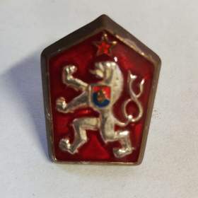 Odznak -  Čepicový odznak ČSLA / 19360574