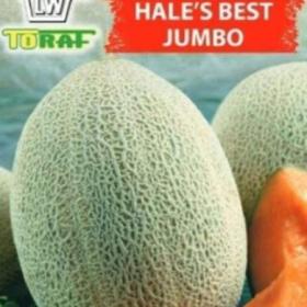 Meloun Hales Best Jumbo (semena) / 19360597