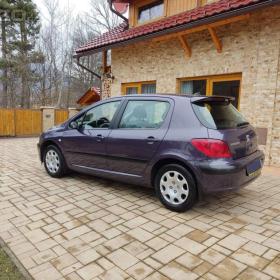 Foto inzerátu Peugeot 307 benzín
