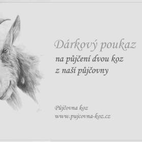 Foto inzerátu Zážitek - výlet s kozami