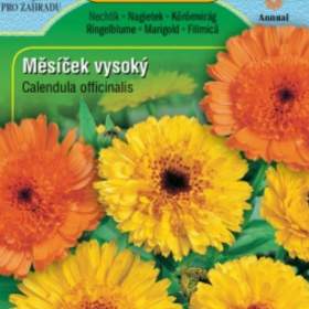 Měsíček lékařský vysoký Kablouna, směs (semena) / 19365017