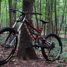 Specialized Status FSR  / 19371292