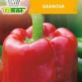 Foto inzerátu Paprika zeleninová raná, Granova (semena)