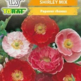 Vlčí mák, Shirley mix (semena) / 19373632