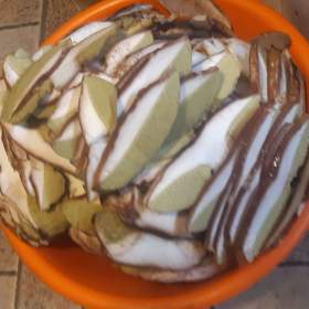 Foto inzerátu SUŠENÉ HŘÍBKY A NAKLÁDANÉ HŘÍBKY