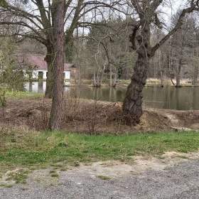 Foto inzerátu Pronájem části zahrady – ulice V Plaňkách Rokycany