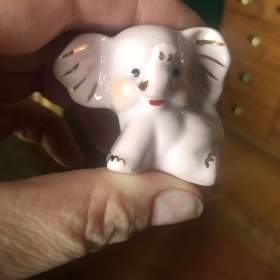 Malý sloník / 19380315