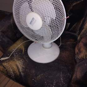 Elektrický stolní otočný ventilator  / 19381265