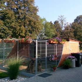 Prodej dvojkotce pro psy 6x6 m / 19387722