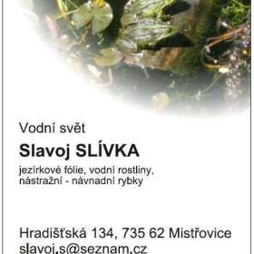 Foto inzerátu vodní rostliny bahenní rostliny