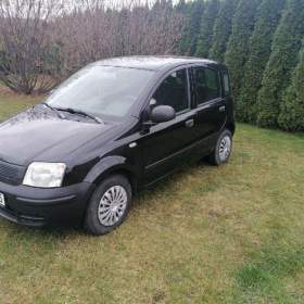 Fiat Panda 1.1 City Drive / 19401058