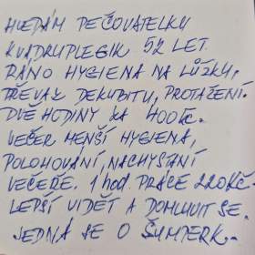Pečovatelka / 19409417