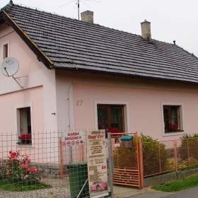 Rodinný dům 4+1 vhodný i k podnikání s pozemkem 2 146 m2 / 19411562