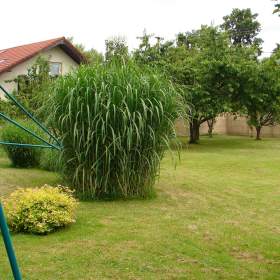 Foto inzerátu Rodinný dům 4+1 vhodný i k podnikání s pozemkem 2 146 m2