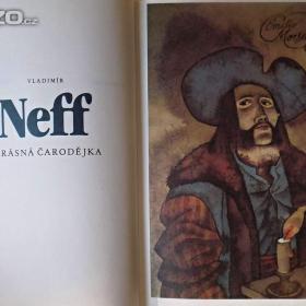 Foto inzerátu Krásná čarodějka - Vladimír Nef 