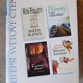 Fotka k inzerátu Sněžná stopa, Léto odhodlání, Temný oheň, Vánoční kouzlení  / 17951851