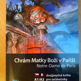 Chrám Matky Boží V Paříži Victor Hugo Kniha / 19412182