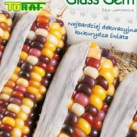 Kukuřice okrasná, Glass Gem (semena)  / 19420783