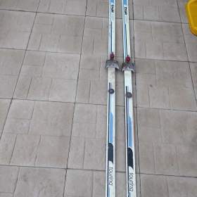 Foto inzerátu Běžky/lyže 