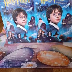DVD Harry Potter a Kámen mudrců / 19432146