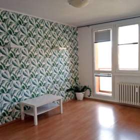 Pronájem, byt 1+1, 40 m2, Ostrava -  Mariánské Hory, ul. Korunní / 19434351