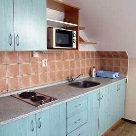 Pronájem, byt 1+1, 45 m², Ostrava -  Mariánské Hory, ul. Přemyslovců / 19435287