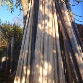 Foto inzerátu Smrková loupaná bidla