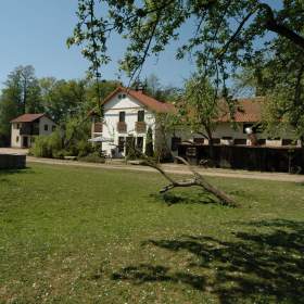Asistentka, hospodyně a práce u koní + Ošetřovatel, zemědělský dělník, jezdec, stájník / 19457773