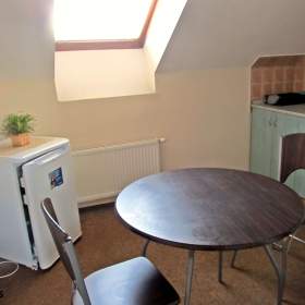 Foto inzerátu Pronájem, byt 1+1, 45 m², Ostrava - Mariánské Hory, ul. Přemyslovců