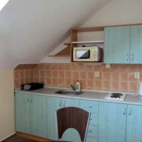 Foto inzerátu Pronájem, byt 1+1, 45 m², Ostrava - Mariánské Hory, ul. Přemyslovců