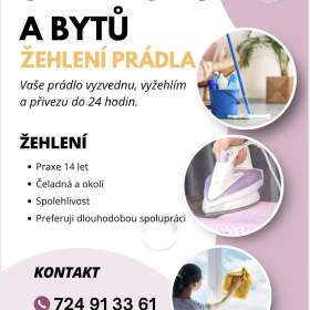 Úklid domácnosti, žehlení / 19458005